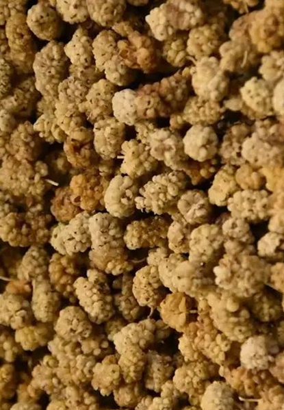 Dried White Mulberries